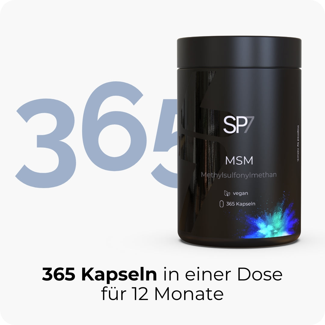 MSM Kapseln