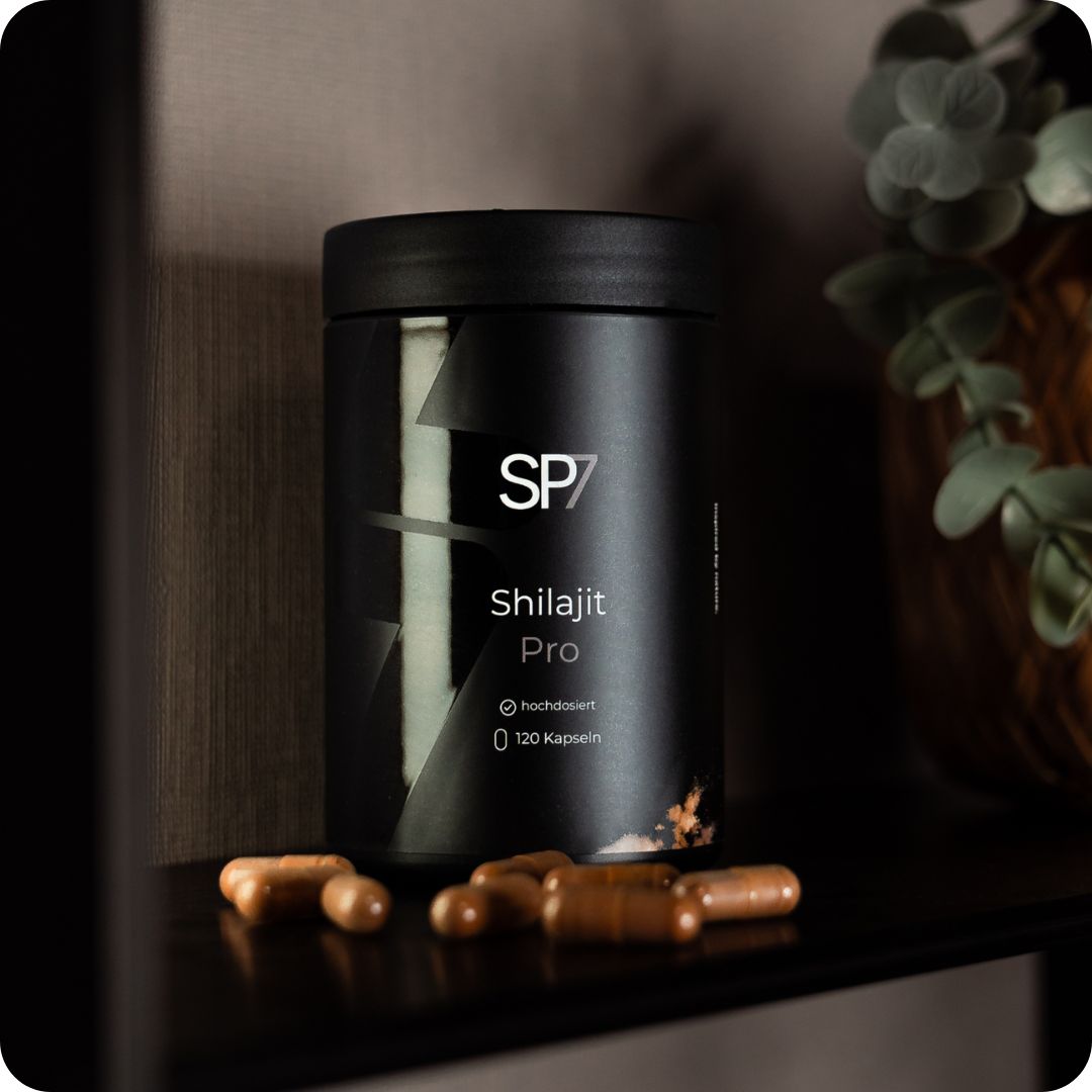 SP7 - Bundle Konfigurator