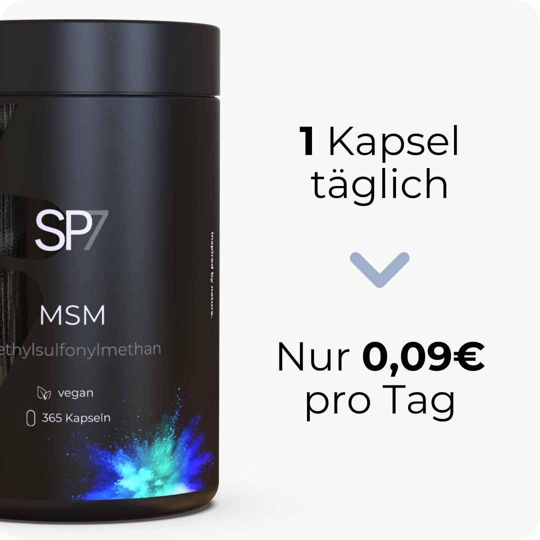 MSM Kapseln