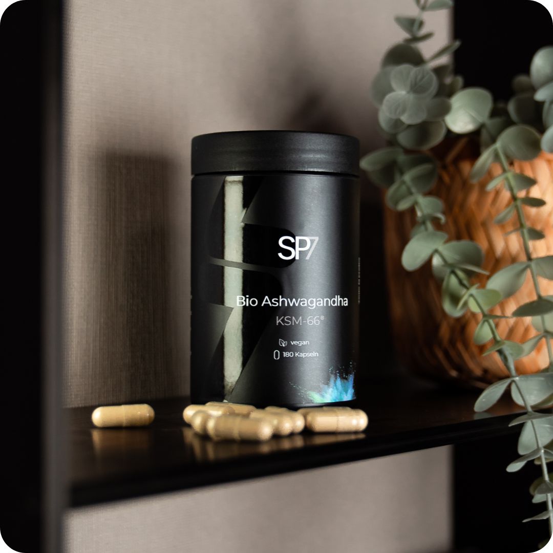 SP7 - Bundle Konfigurator
