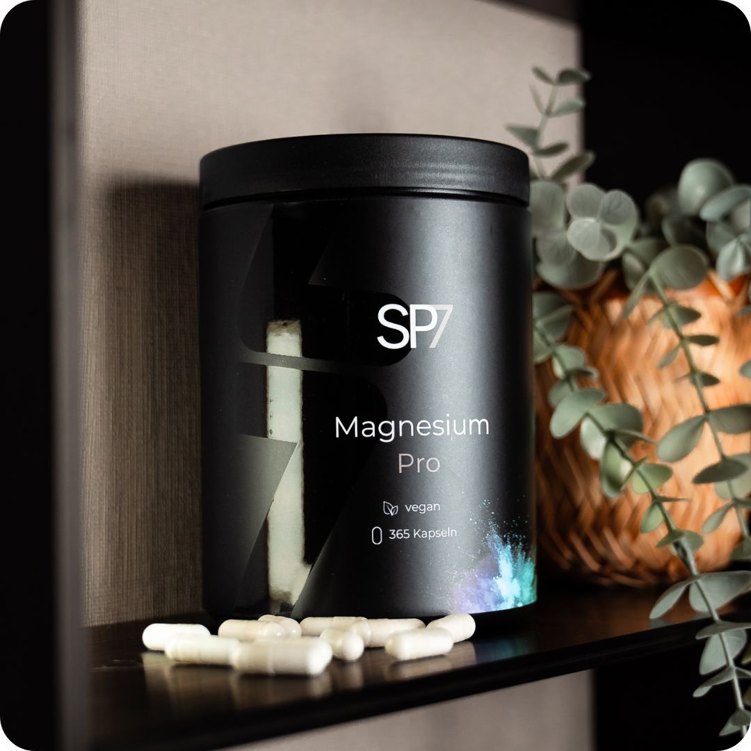 SP7 - Bundle Konfigurator