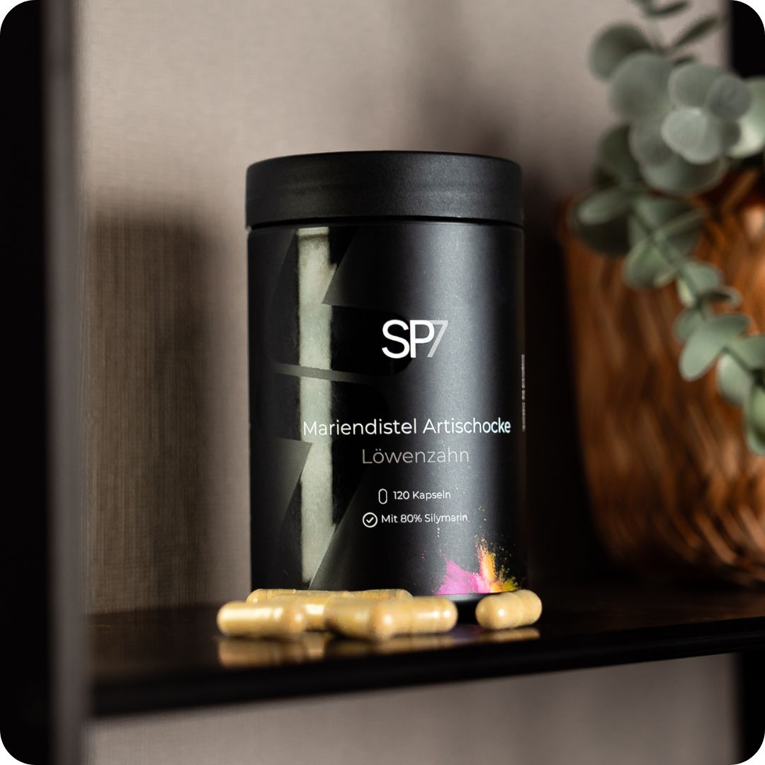 SP7 - Bundle Konfigurator
