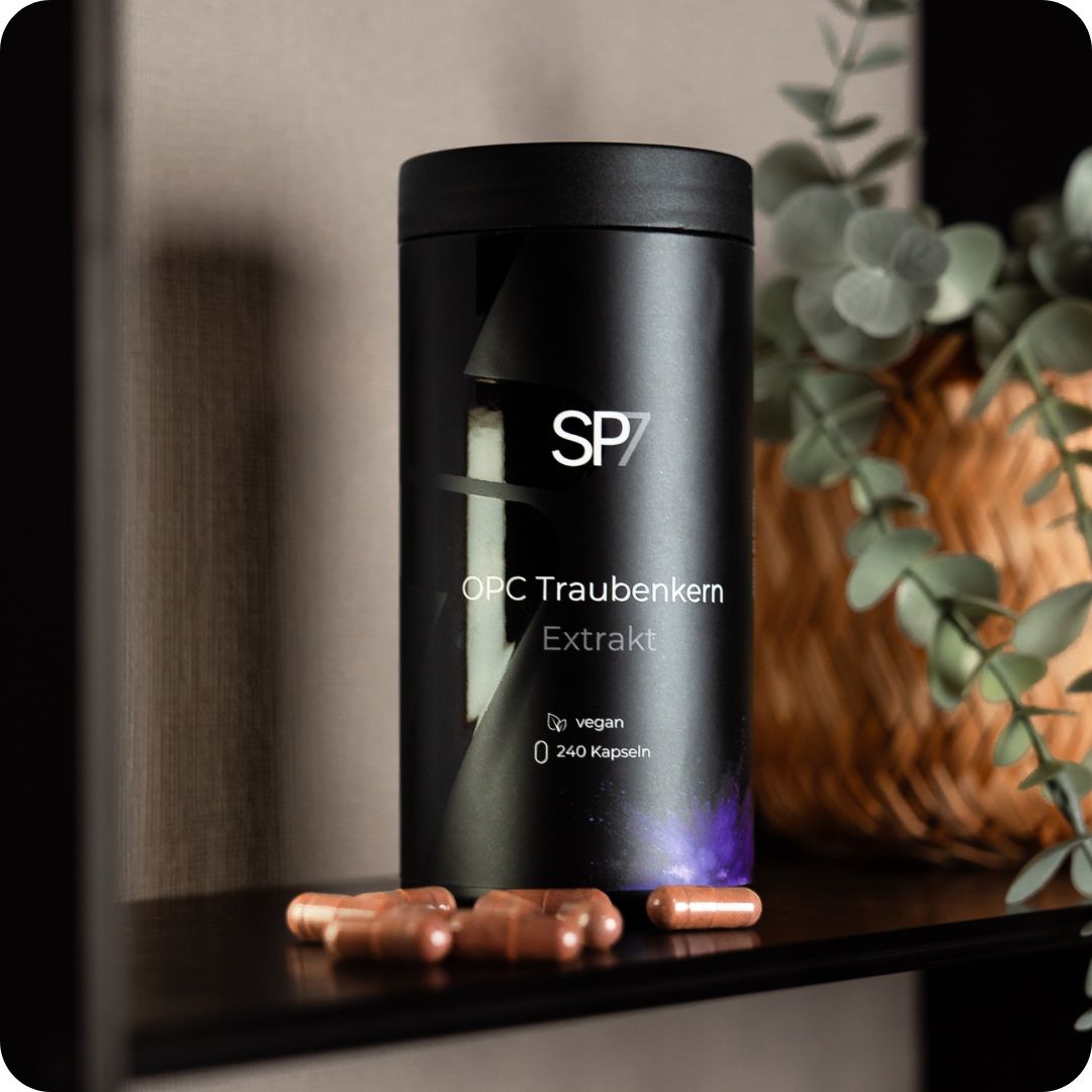 SP7 - Bundle Konfigurator