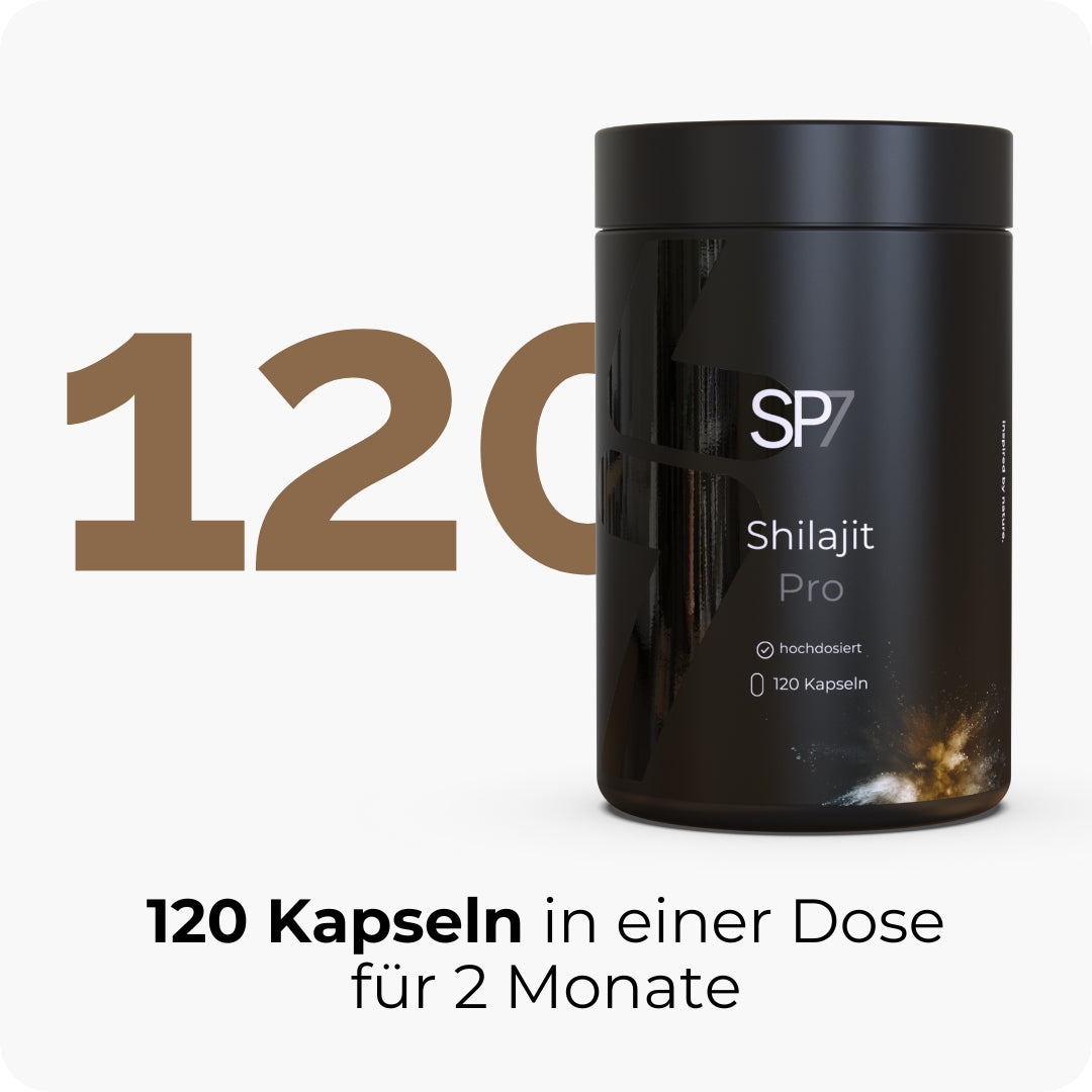 Shilajit Pro Kapseln