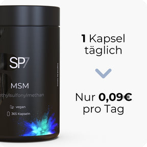 MSM Kapseln