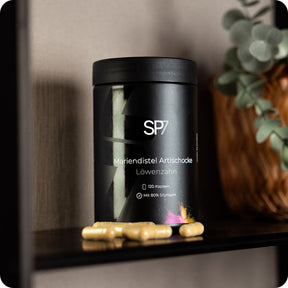 SP7 - Bundle Konfigurator