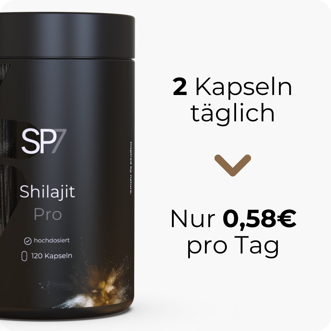 Shilajit Pro Kapseln